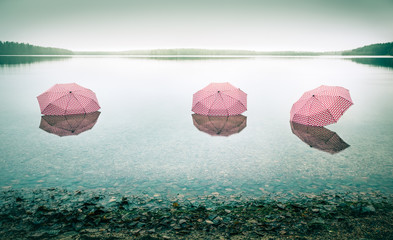 Tree pinky umbrellas in the lake landscape. This picture describes global warming.