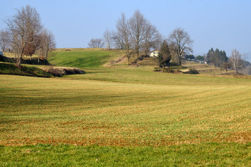 Landscape in Brianza )Italy) at winter