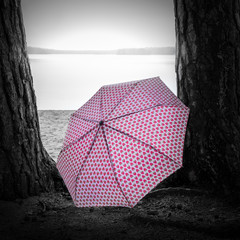 Pinky umbrella between two trees