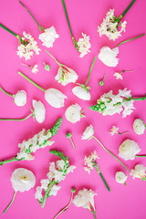 Pattern made of white flowers on pink background. Flat lay, top view. Floral background. Flowers pattern texture