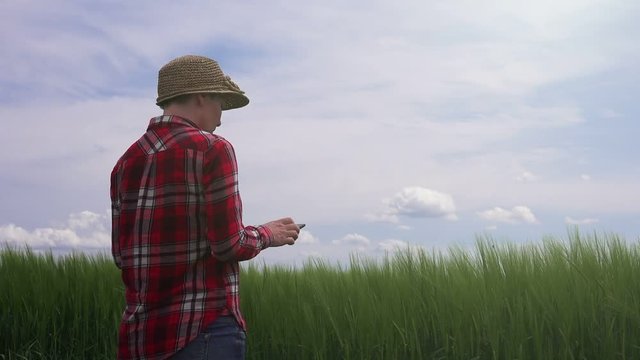 Female farmer using digital tablet computer in green wheat field, modern farming and agricultural activity