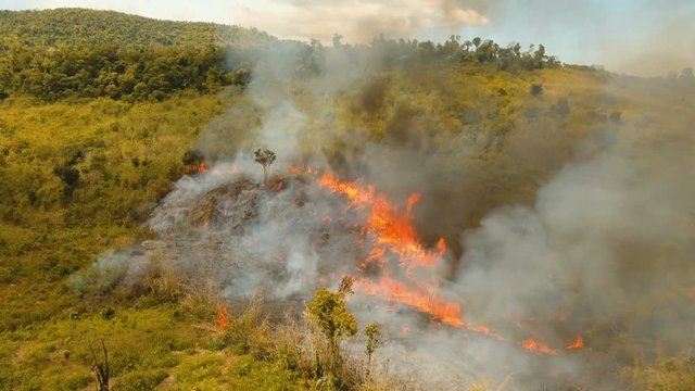 Aerial view forest fire on the slopes of hills and mountains. Forest and tropical jungle deforestation for human food farming and export. large flames from forest fire. Using fire to destroy natural