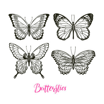 set of sketch butterflies