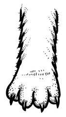 Obraz premium Cartoon image of Cat paw Icon. Logo concept. An artistic freehand picture.