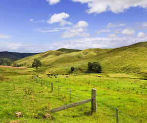 DNP Valley Fence Green