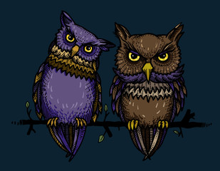 Cartoon image of cute owls. An artistic freehand picture.