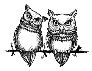 Sheer curtains Owl Cartoons Cartoon image of cute owls. An artistic freehand picture.