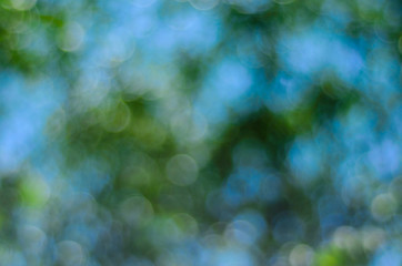 Obraz premium Abstract and blurred green background