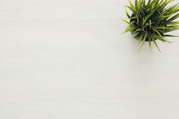 top view image of wooden white background and plant in pot