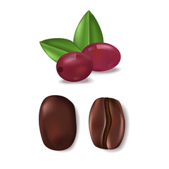 Realistic coffee beans and berries with leaves isolated.