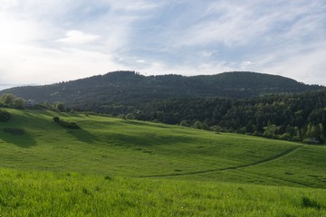 Fototapeta na wymiar Dramatic clouds on a green meadow, sunrise and sunset in nature. Slovakia