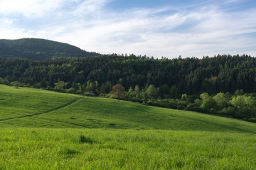 Obraz premium Dramatic clouds on a green meadow, sunrise and sunset in nature. Slovakia