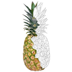 Triangulated pineapple. Vector illustration