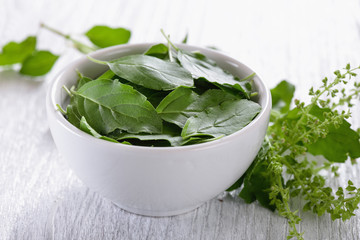 Basil leaves on wood