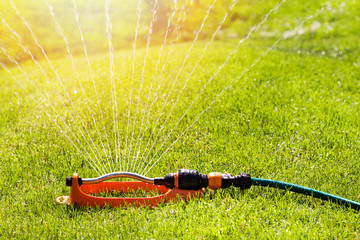 lawn sprinkler spaying water over green grass irrigation system - obrazy, fototapety, plakaty