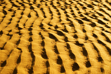Close up Gold sand wave  on the beach