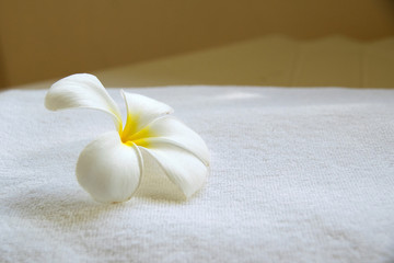 Obraz na płótnie Canvas Close up White Frangipani flowers on white towel