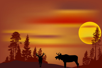 Fototapeta na wymiar deer two silhouettes in forest at orange sunset