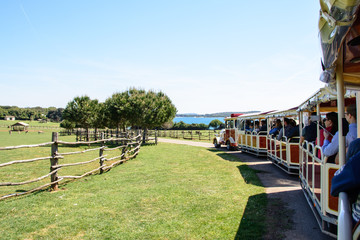 Touristic road-train in safari park. National park Brioni.Istria region , Croatia.