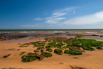 Sidmouth beach in east devon