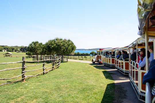 Touristic road-train in safari park. National park Brioni.Istria region , Croatia.