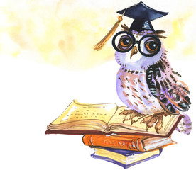 Watercolor graduate owl. Hand drawn bird in a graduation cap, glasses and books. Painting illustration symbol of celebrating the graduation ceremony