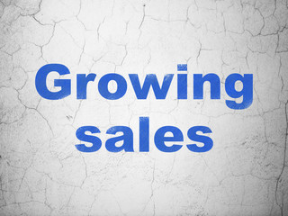 Business concept: Growing Sales on wall background