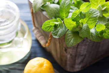 Mint tea with fresh mint leaves. selective focus, copy space