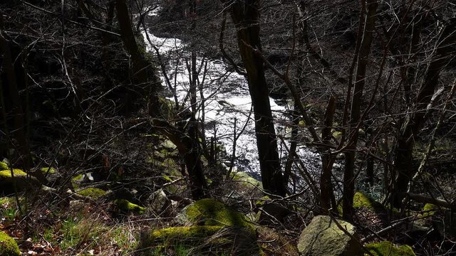 Harz Wild Wasser Tal Bode Hexen Tanz Platz