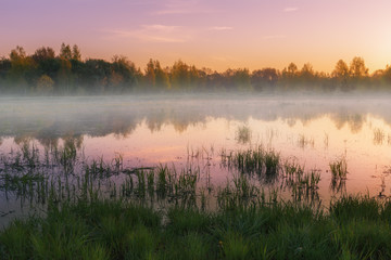Fototapeta na wymiar Early morning on lake with trees reflection and mist