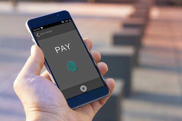 Smartphone online payment method concept