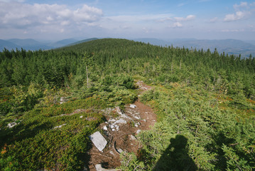 Green forested Carpathian Mountains
