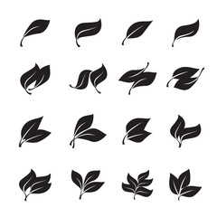 Black leaves isolated from the background. Vector simple leaves tree.