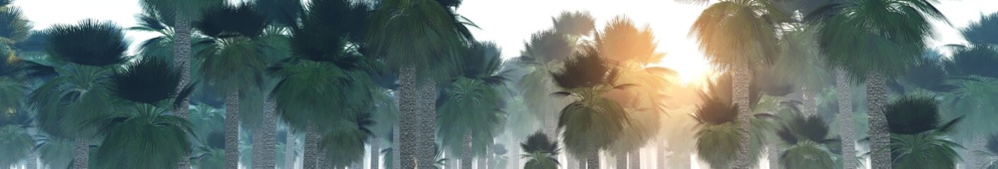 Fototapety  Gaj palmowy, palmy meksykańskie, panorama palm, gaj palm meksykańskich, renderowanie 3d