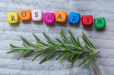 Rosmarin mit Buchstabenwürfel Konzept vor grauem Holz
