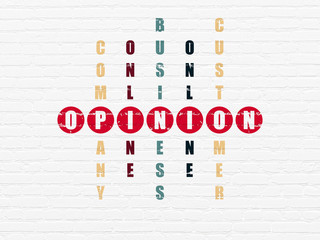 Marketing concept: Opinion in Crossword Puzzle