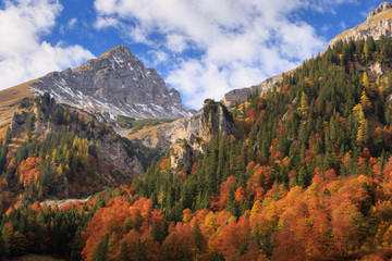Colorful autumn in Alps