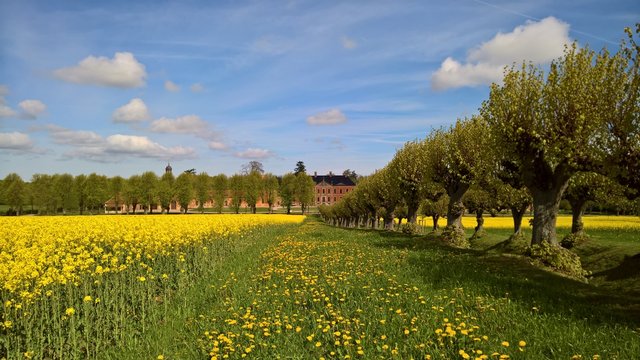 Blick auf Schloss Bothmer