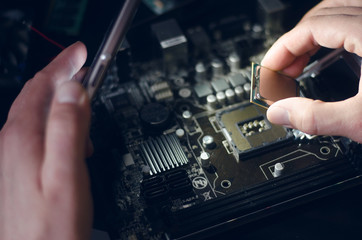 Fototapeta na wymiar Computer processor. Technician installs the CPU on the motherboard.
