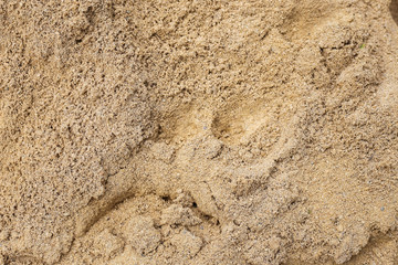 sand