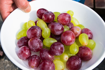 Two colors of grapes on a white dish