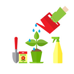 watering plant in pot, flat design vector