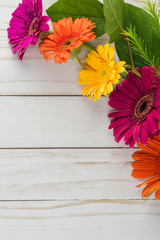 Fresh cut multicolor gerberas.