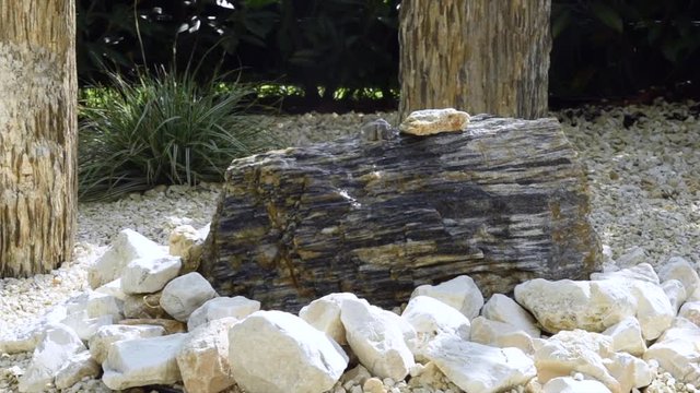 Wasser quillt aus Quellstein bei Sonnenschein