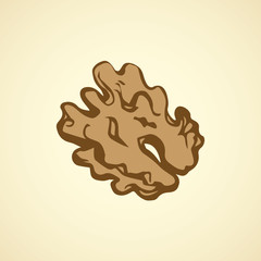 Walnut. Vector drawing
