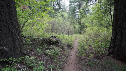 Exploring Washington State, the Great Pacific Northwest