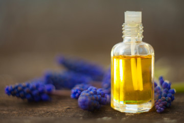Essential oil of muscari flower on a table in beautiful bottle