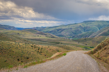 Road among amazing green fields. Oregon, Baker County, Lookout Mountain rd