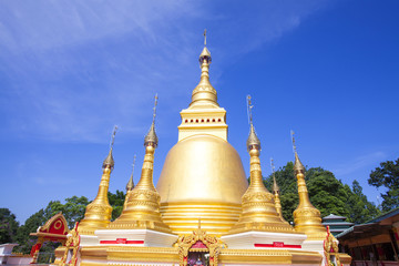 Naklejka premium A coconut trees and a green confield