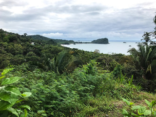 Tropical Bay